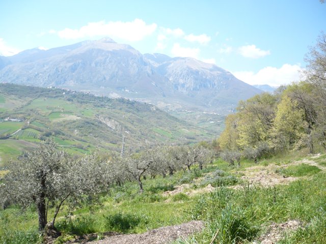 Property for sale in Palombaro, Chieti Province