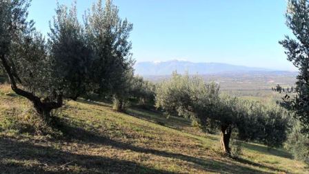 House for sale at Torino Di Sangro