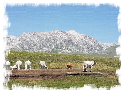 Under the Abruzzo sun