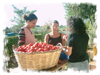 Under the Abruzzo sun